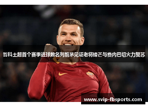 哲科土超首个赛季进球数名列前茅见证老将锋芒与费内巴切火力复苏 哲科土超首个赛季进球数名列前茅见证老将锋芒与费内巴切火力复苏